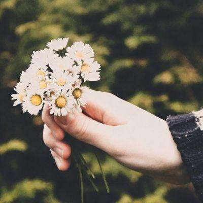 半岛·体育官方登录入口