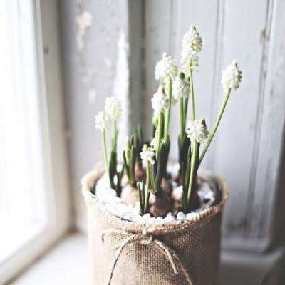 九游会演示说明