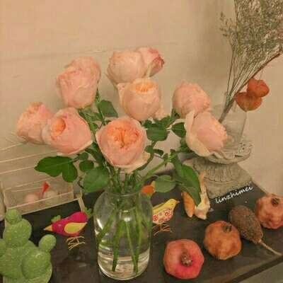 IM体育官方网站